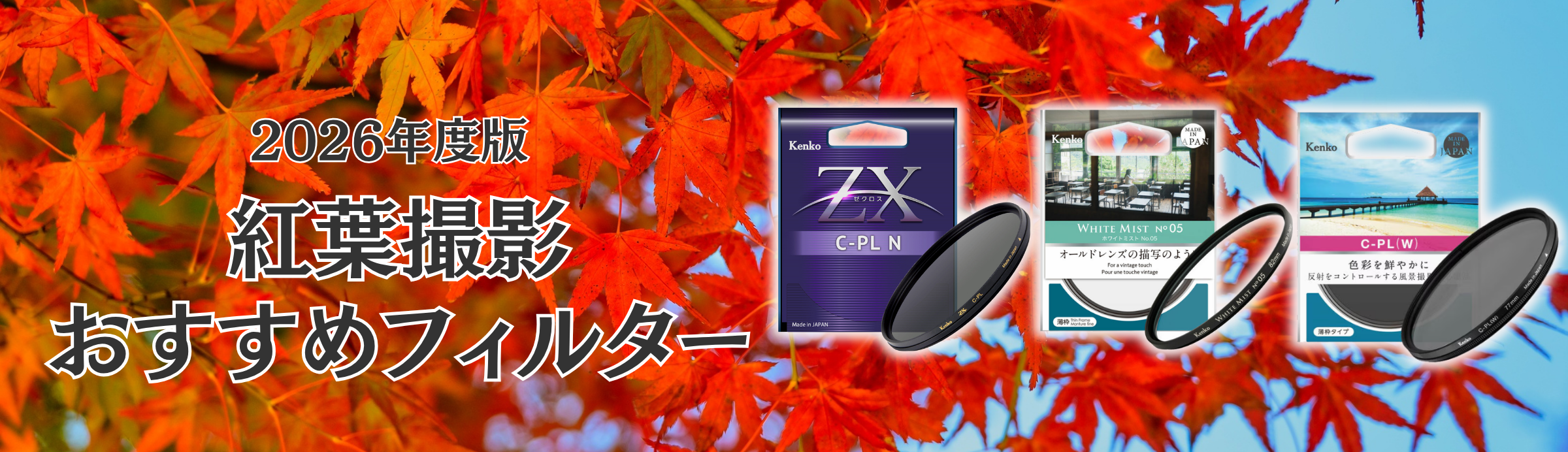 2026紅葉