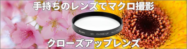 2026クローズアップ