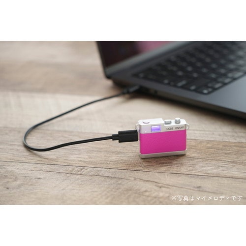 10/9発売予定】【即配】(KT) サンリオキャラクター トイカメラ STREET