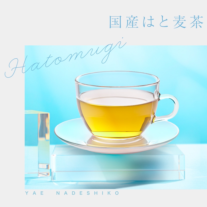 �ϥȥ८�� �� �Υ󥫥ե����� �ƥ����Хå� ���� �� ���᡼��