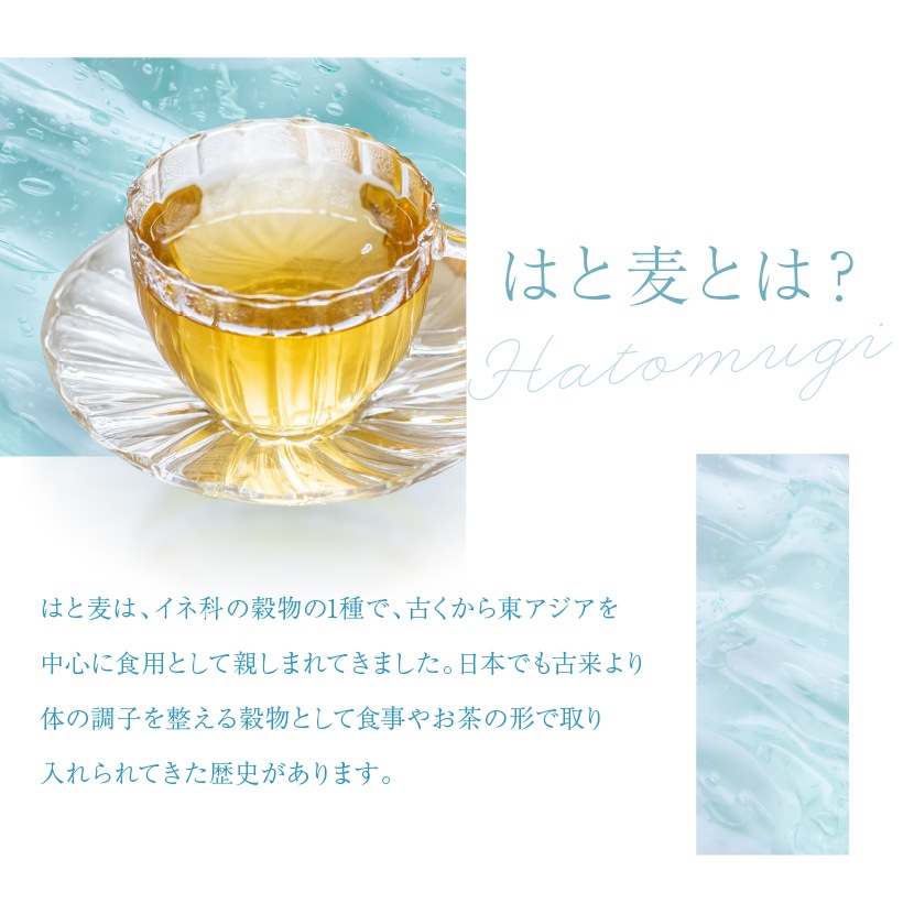 �ϥȥ८��Ȥ� �襯���˥��ޤ��ʪ �Ϥ��������ħ