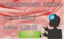 ��̳�Ѥ����羦�ʥڡ�����