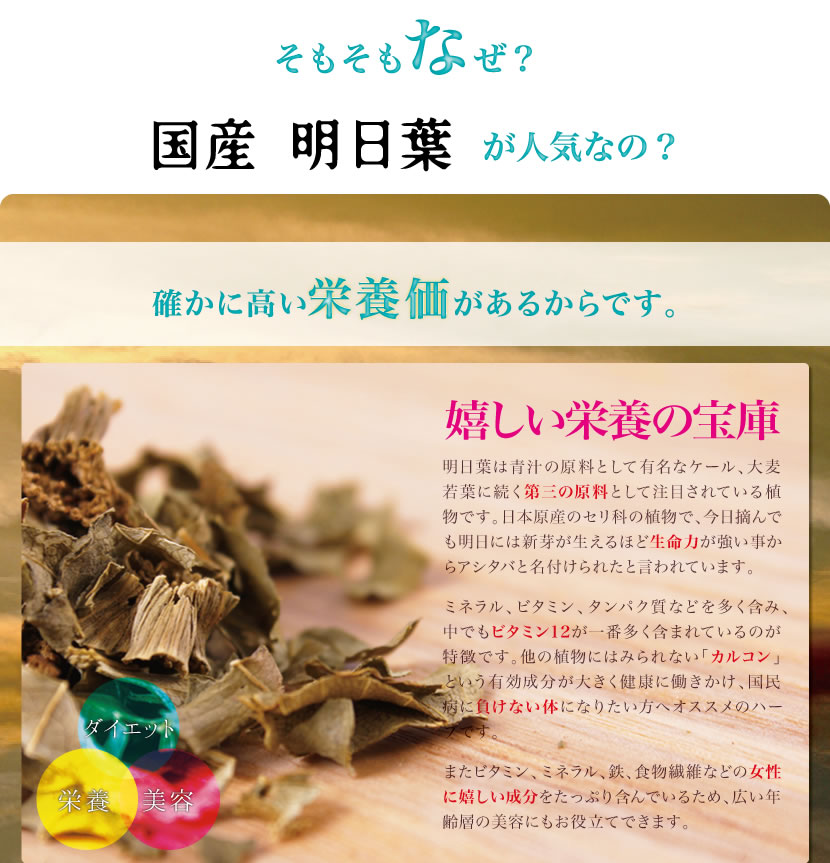 �������С�Ȭ���𡢥��󥼥ꥫ�Ȥ�