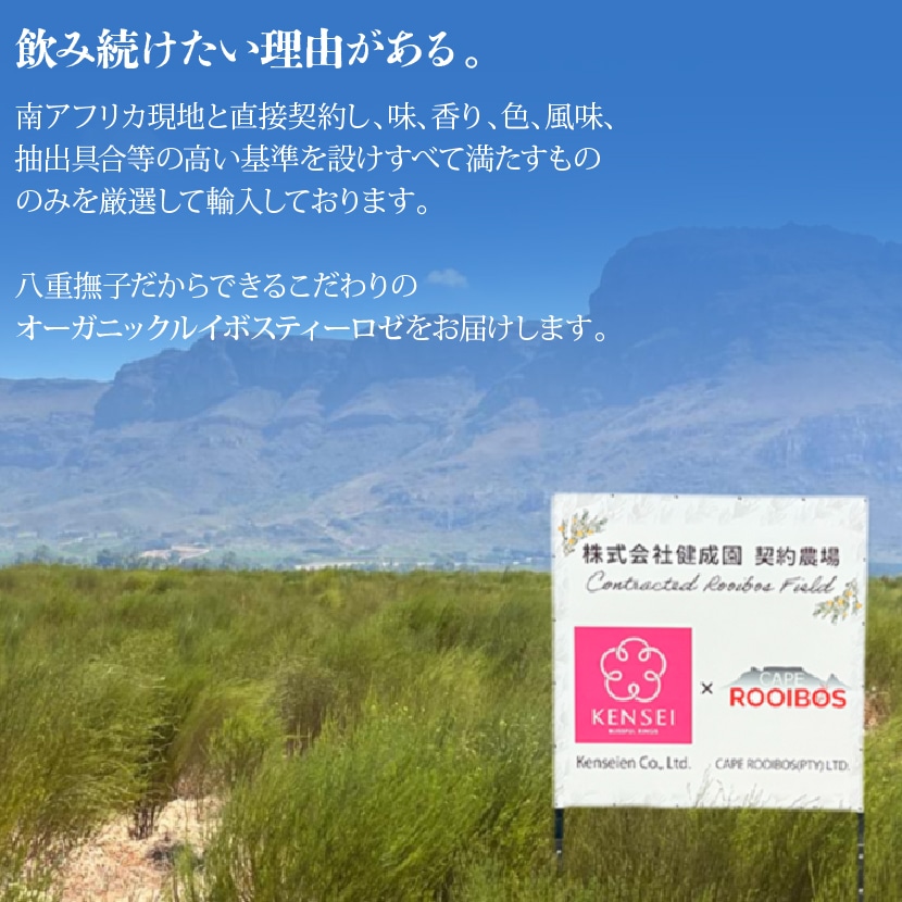 ��եꥫ�����Ȥ�ľ�ܷ��󤷤����ʼ��륤�ܥ����դ����