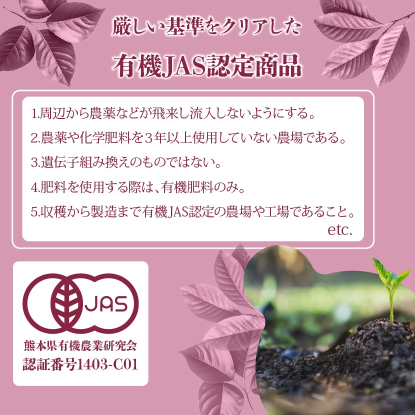 ͭ��JASǧ�� �������˥å��륤�ܥ��ƥ��� ����