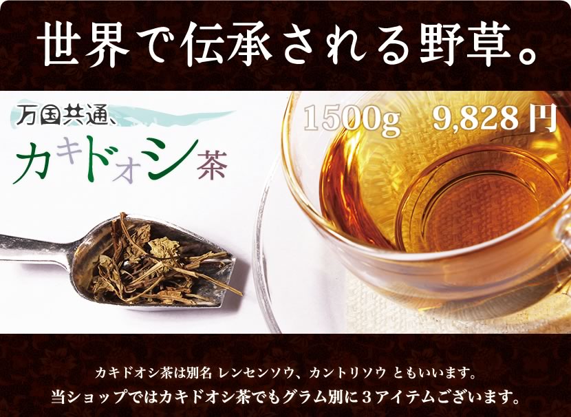 �����̡������ɥ�����