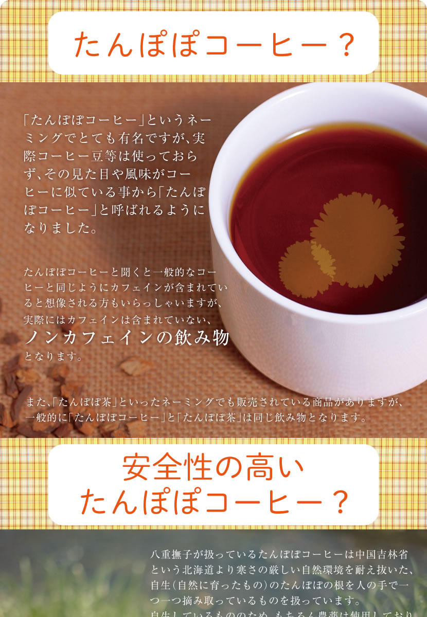 タンポポコーヒーティーバッグ30包！送料無料！ノンカフェインのタンポポ妊婦茶！タンポポ茶【たんぽぽ茶/ダンデライオンルート】【ノンカフェイン】-八重撫子本店