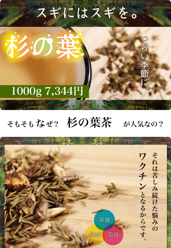 業務用 スギ茶（杉茶）1000g 花粉の季節に頼れる味方！ 美容茶 【健康