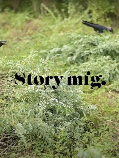 storymfg
