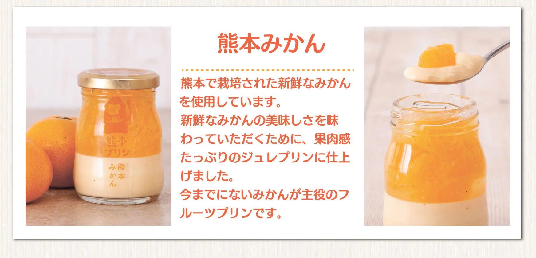 熊本プリン【季節限定】なめらか・りんご・みかん 6個入 | 熊本プリン