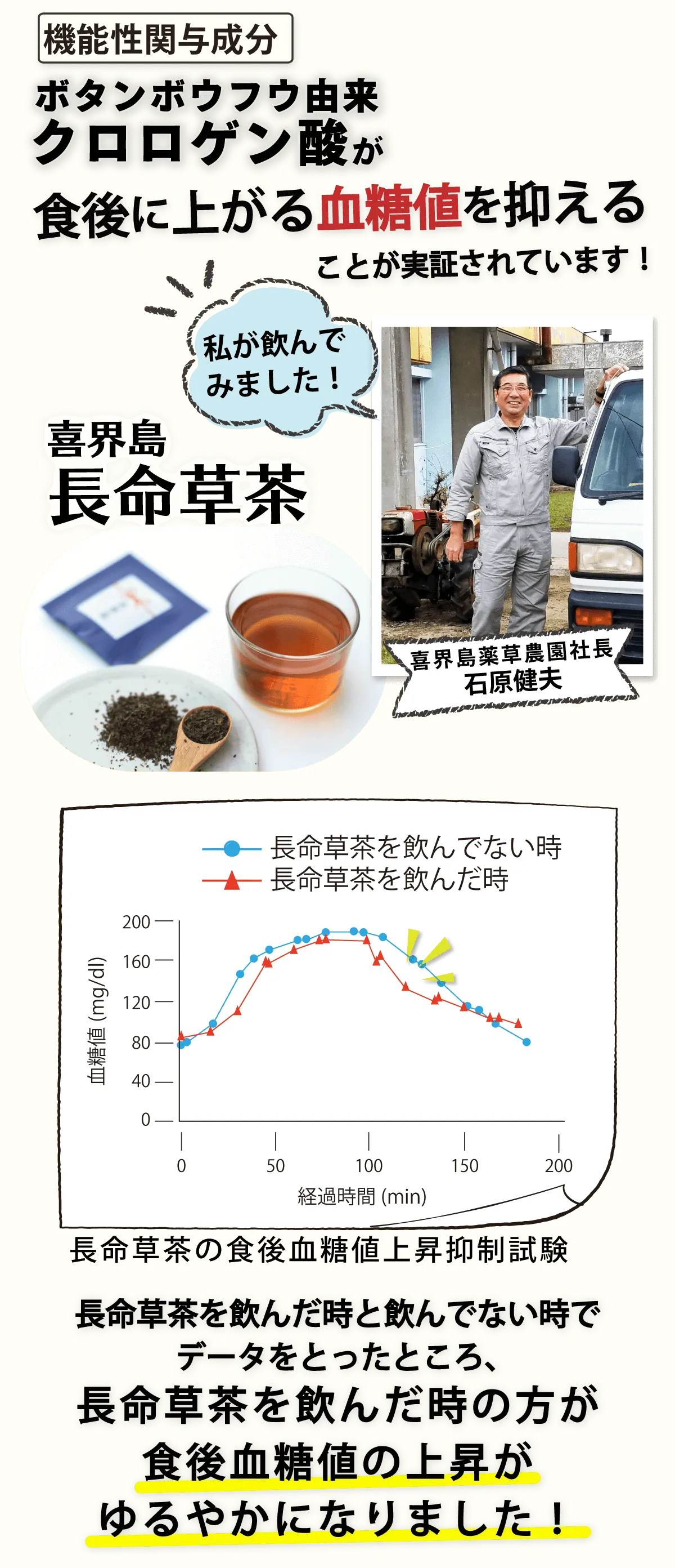 長命草茶の食後血糖値上昇抑制試験