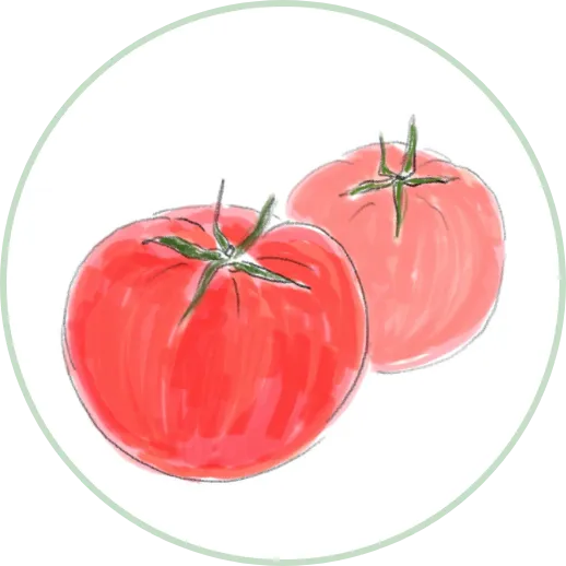 トマトイラスト