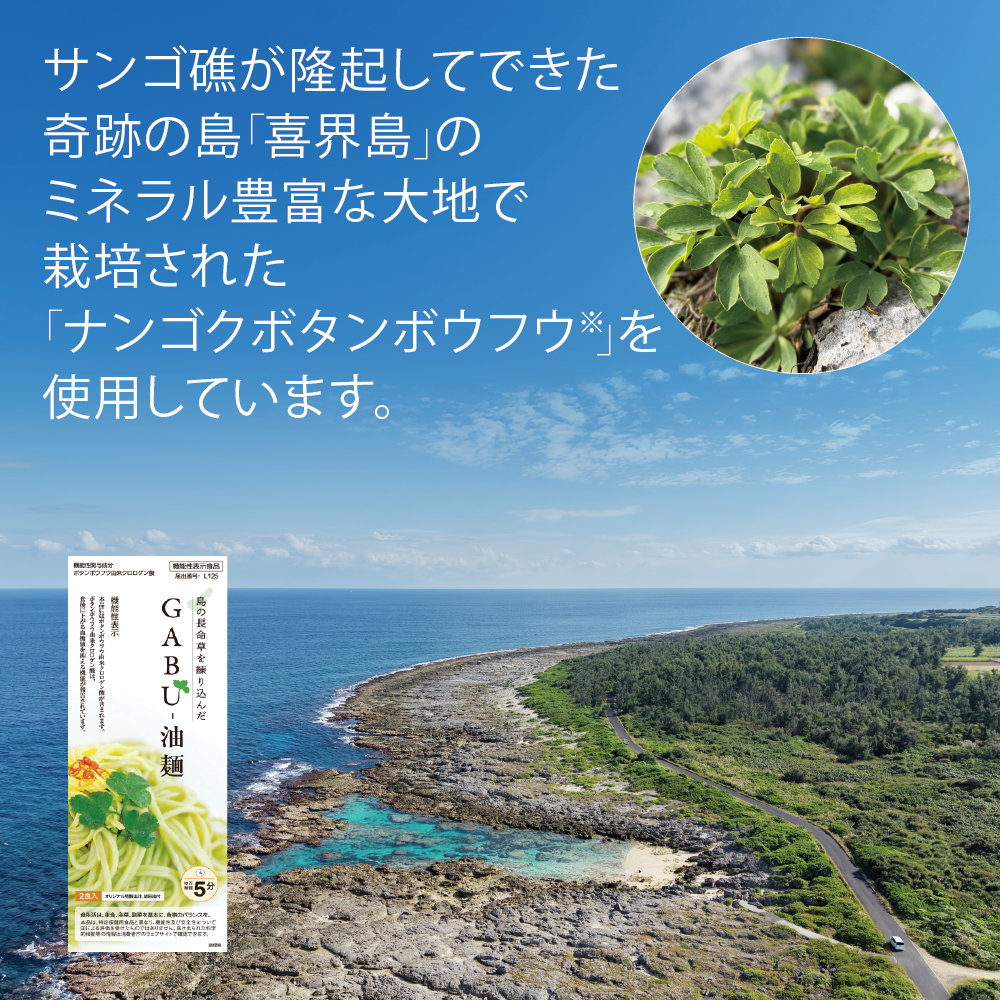 サンゴ礁が隆起してできた奇跡の島「喜界島」のミネラル豊富な大地で栽培された無農薬・化学肥料不使用の「ナンゴクボタンボウフウ※」を使用しています。