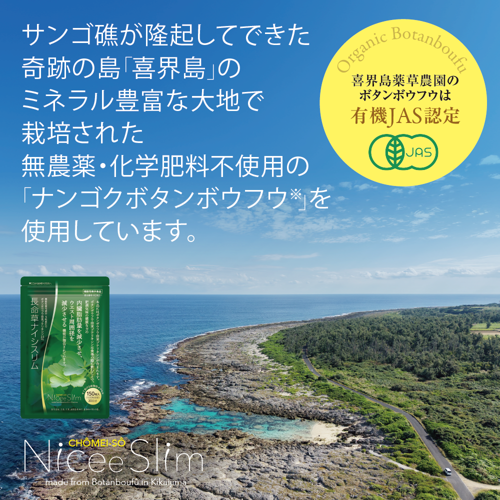 サンゴ礁が隆起してできた奇跡の島「喜界島」のミネラル豊富な大地で栽培された無農薬・化学肥料不使用の「ナンゴクボタンボウフウ※」を使用しています。