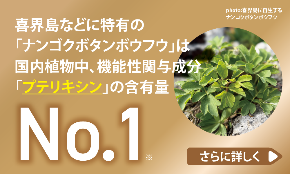 喜界島などに特有の「ナンゴクボタンボウフウ」は国内植物中、機能性関与成分「プテリキシン」の含有量がNo.1
