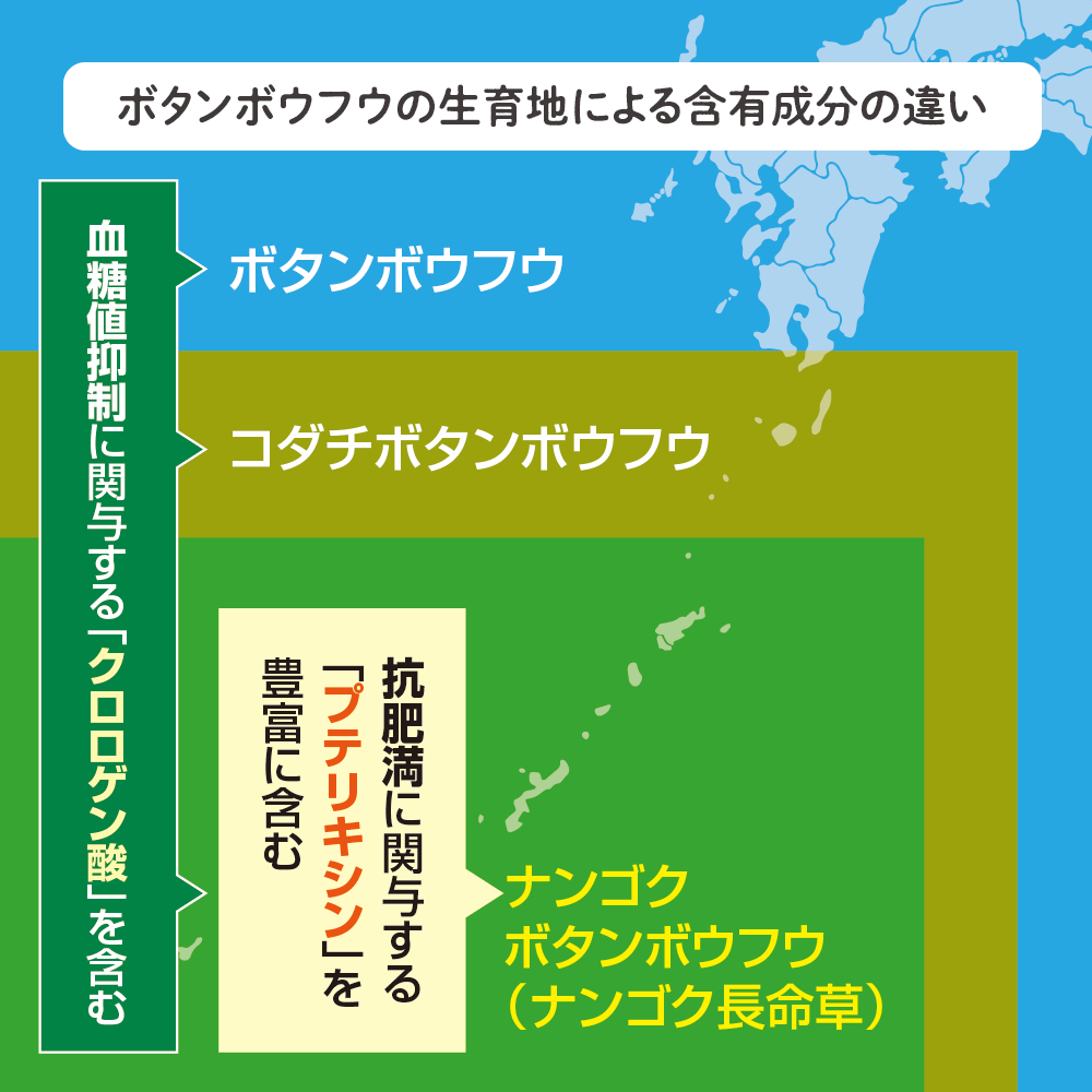ボタンボウフウの新たな可能性について意見交換する３人