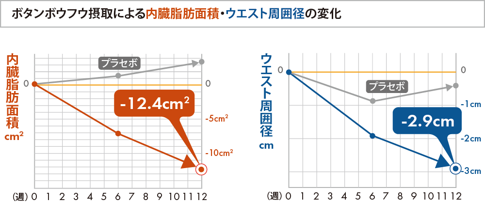 ボタンボウフウ摂取による内臓脂肪面積・ウエスト周囲径の変化