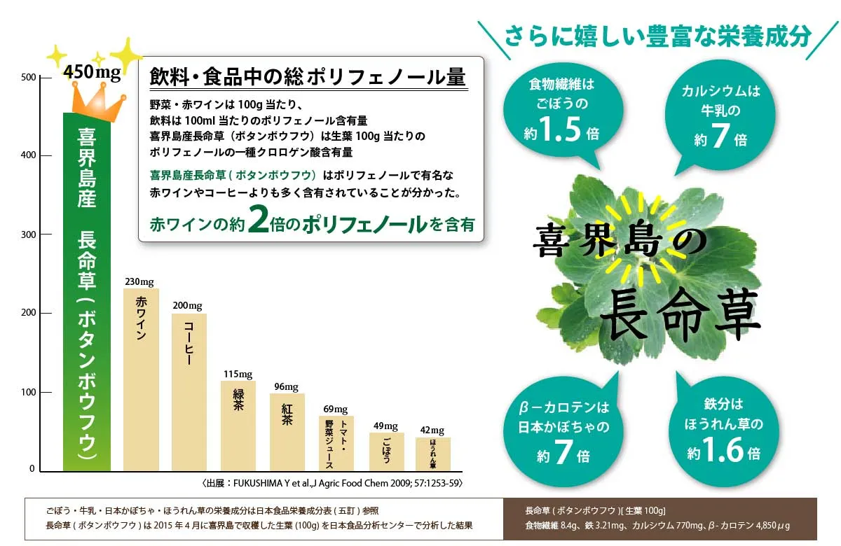 長命草(ボタンボウフウ)のうれしい栄養成分