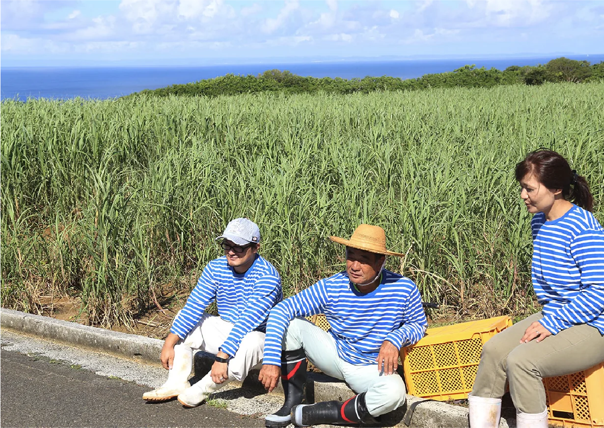 喜界島薬草の人々