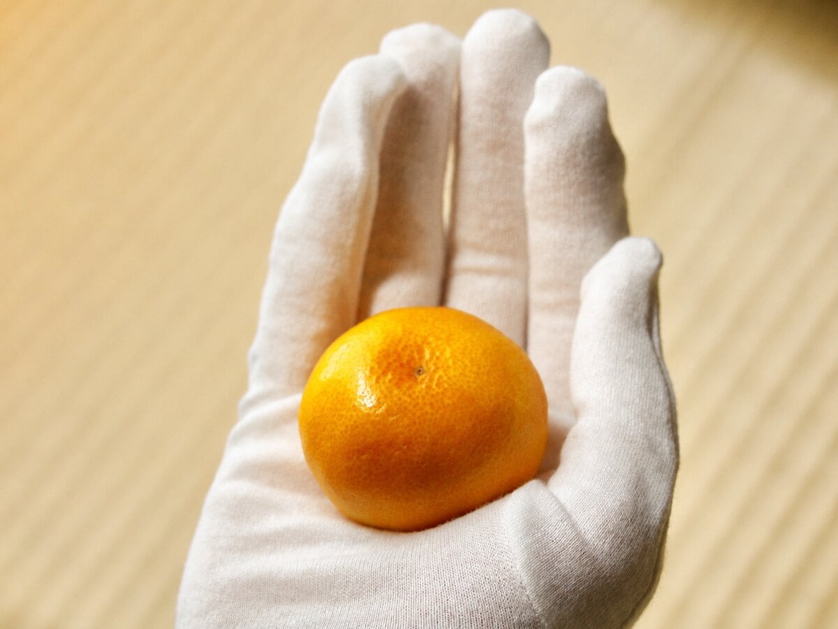 果実を手で選ぶ様子