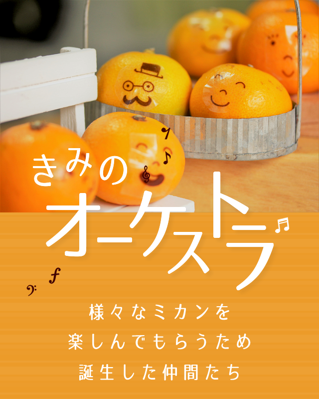 みかん 柑橘類フルーツ産直通販 きみのフルーツ