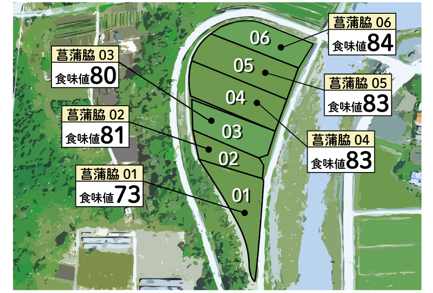 KIMOTOファーム｜実りの百年米｜菖蒲脇エリア