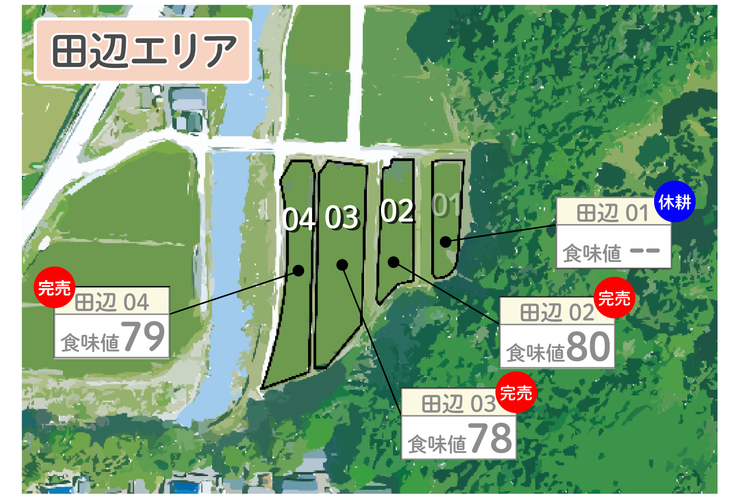KIMOTOファーム｜実りの百年米｜田辺エリア