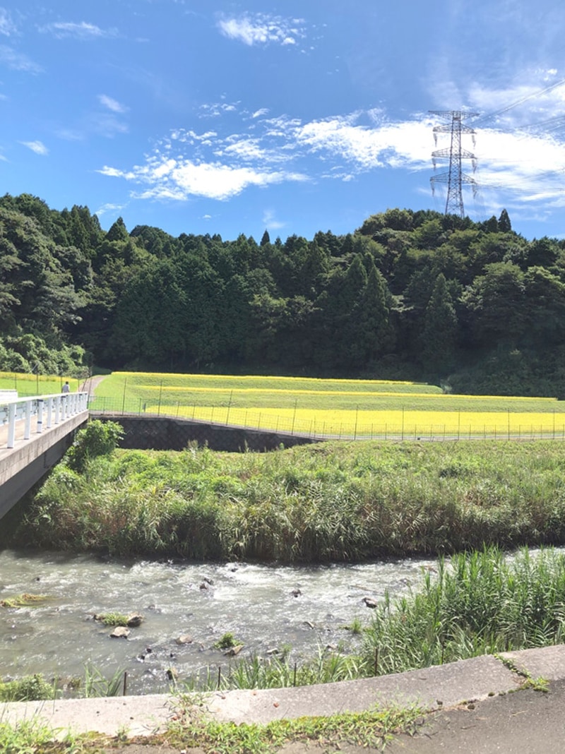 きもとファームの水源