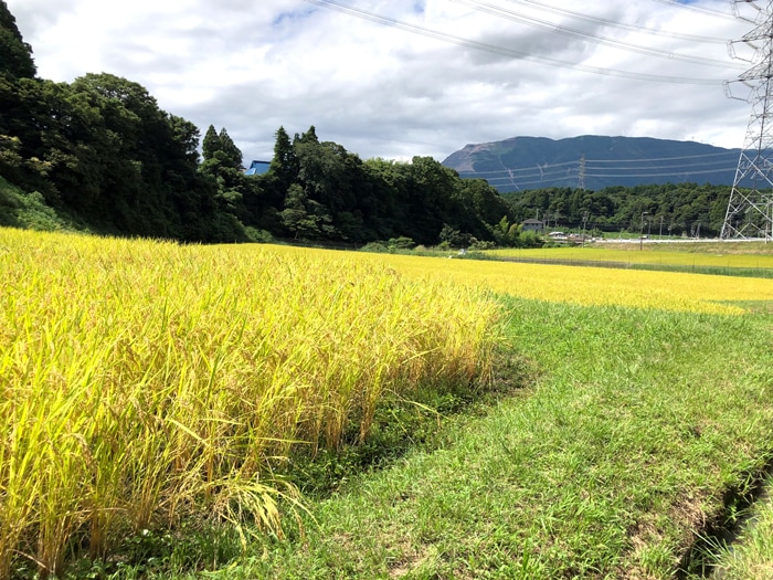 向平エリア