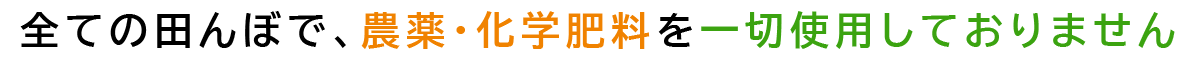 全ての田んぼで、農薬・化学肥料を一切使用しておりません。