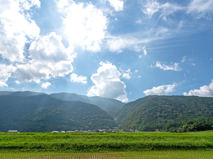 坂本エリア