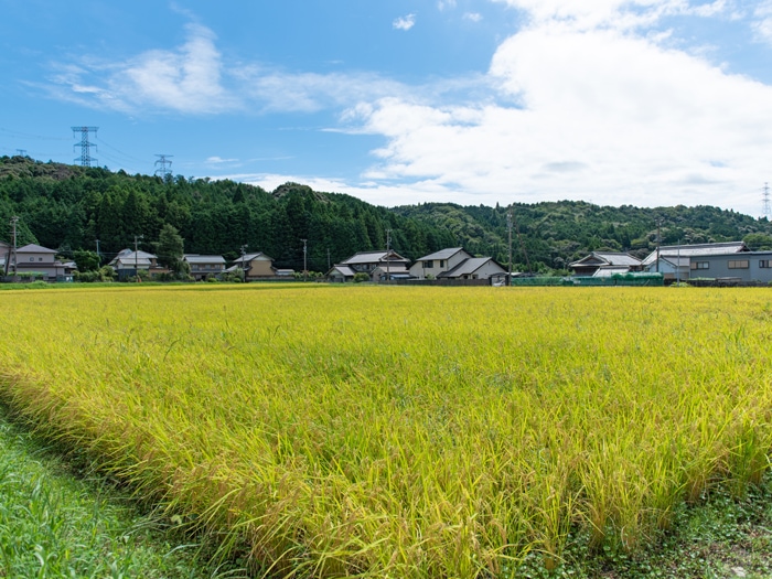 塩崎エリア