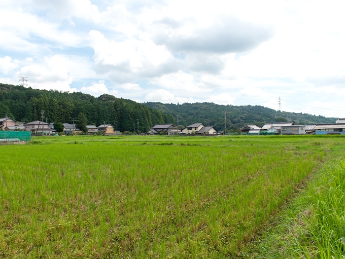 塩崎エリア