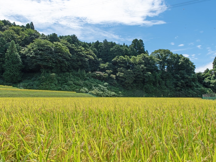 田辺エリア