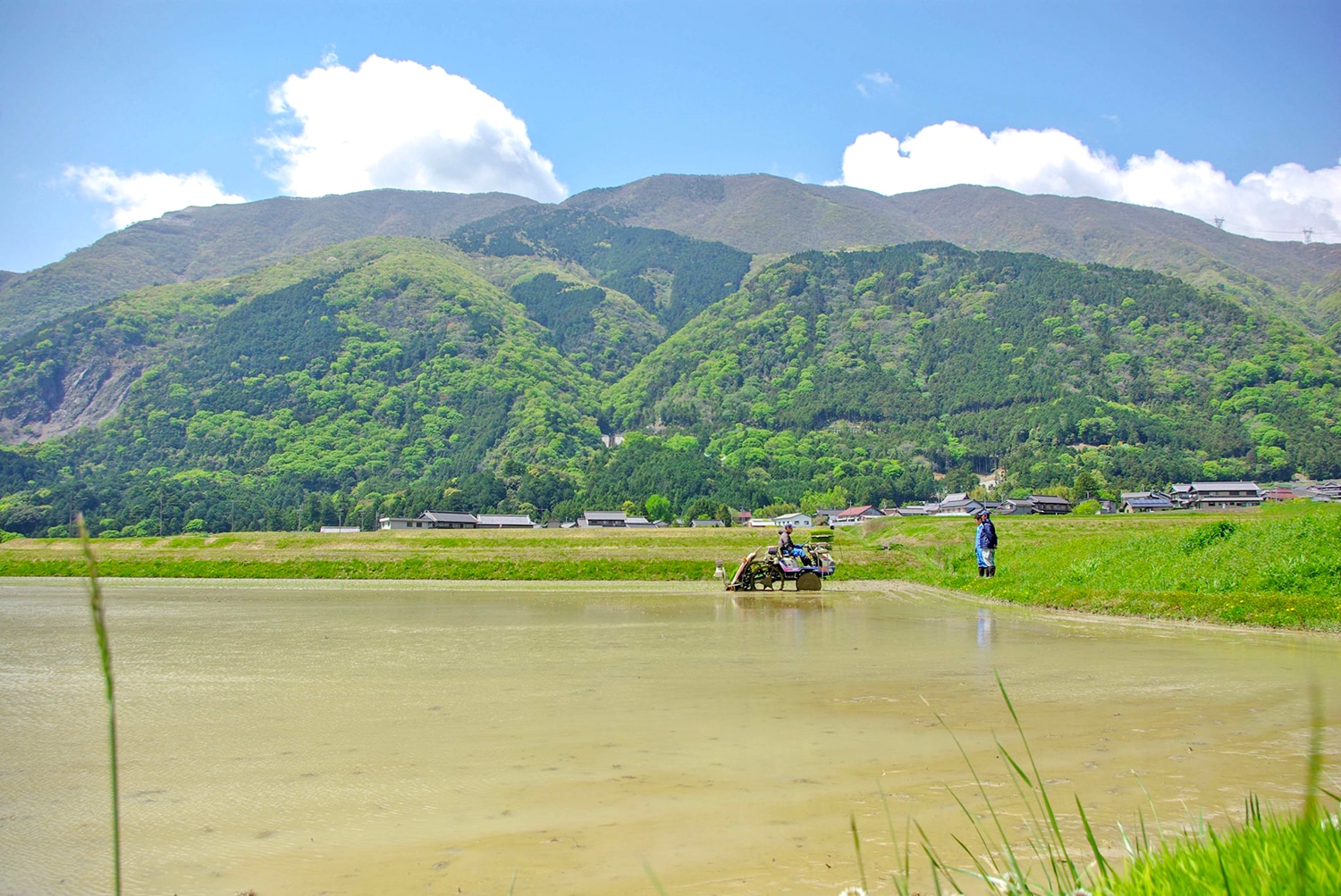 KIMOTO田んぼの風景