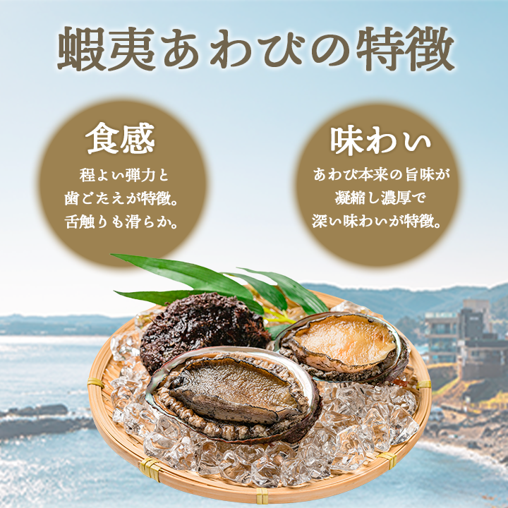 蝦夷アワビの特徴