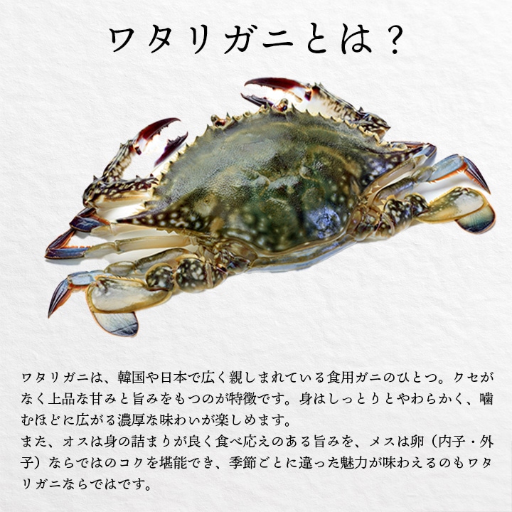 ワタリガニとは