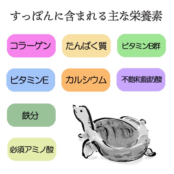 すっぽんスープ><br><table width=