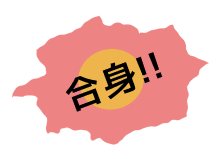 合身
