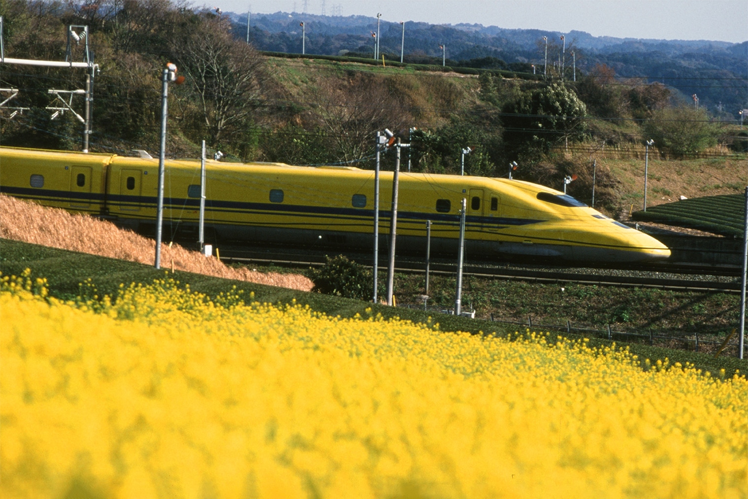 ドクターイエロー写真３