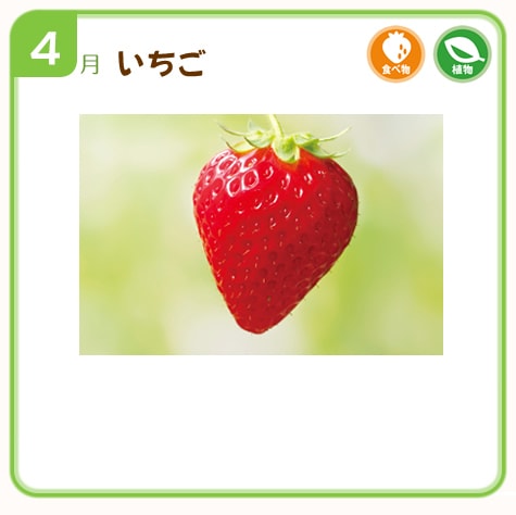 4�������
