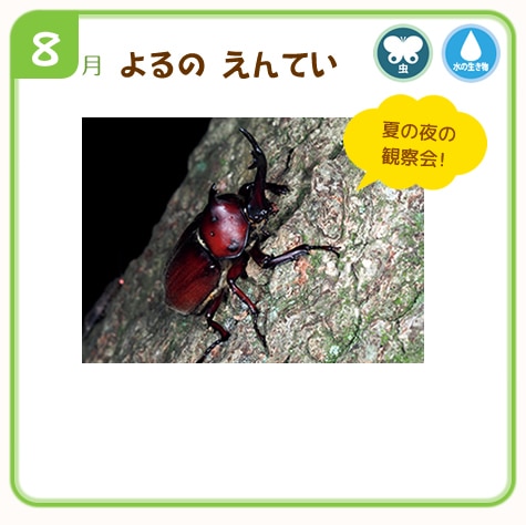 しぜん-キンダーブック定期購読