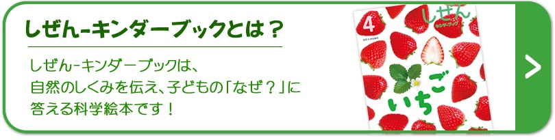 �����󡽥�������֥å��Ȥϡ�