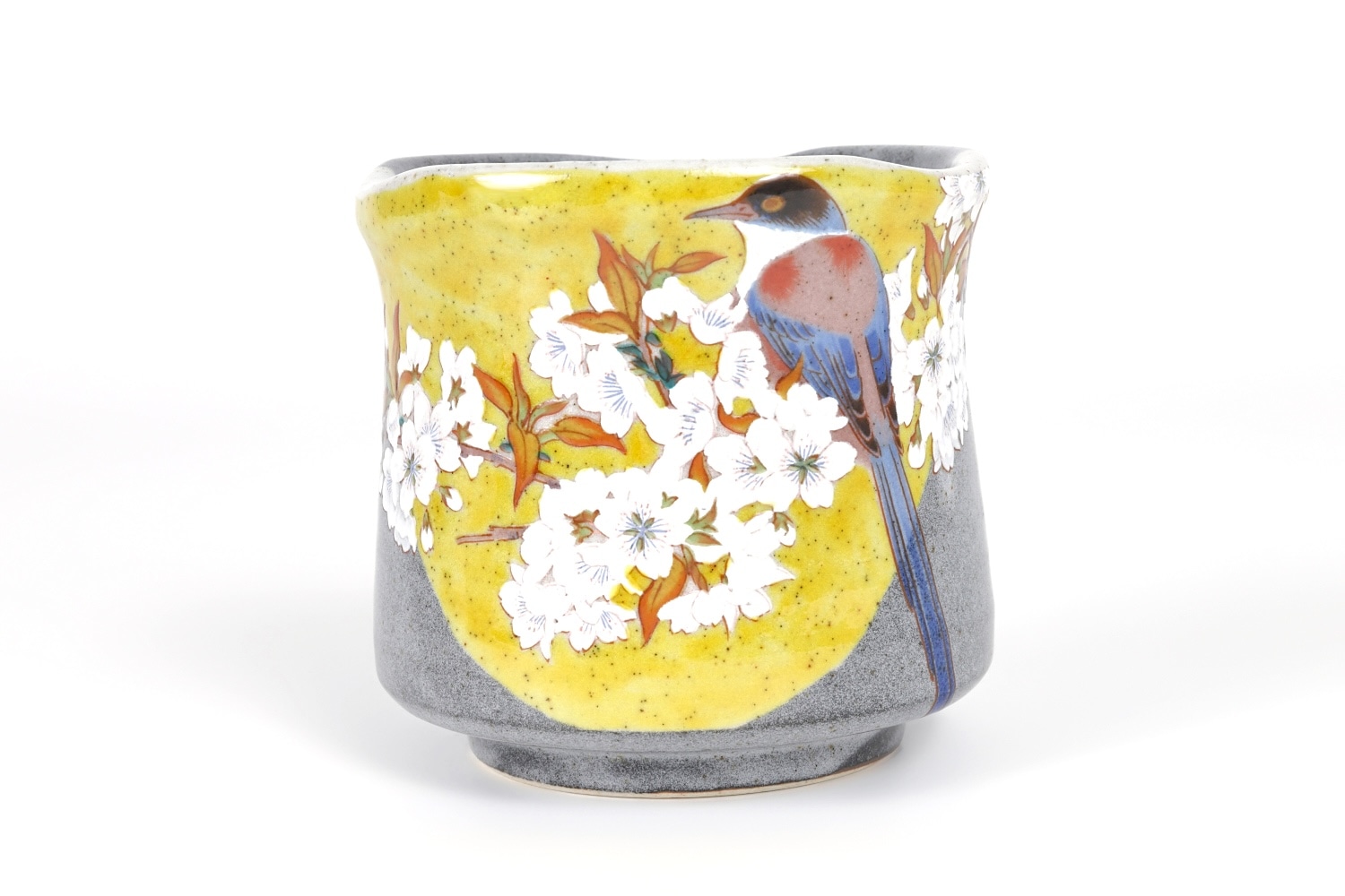 九谷焼　新品　角皿カワセミ4枚　角皿山桜に鳥3枚 楽天市場】九谷焼 8号長皿 長角皿 葦に翡翠（アシにカワセミ