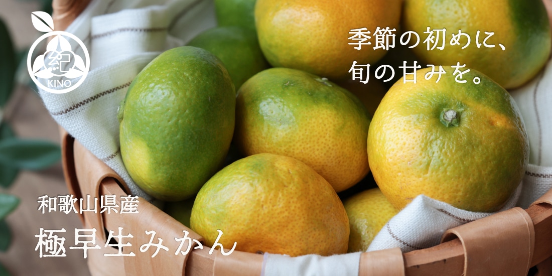 梅,南高梅 中熟梅 | 紀州の旬マルシェ 紀の