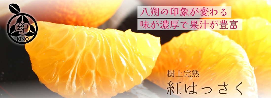 紅八朔【 秀品 2L サイズ(大玉）10kg 】 | みかん,紅八朔 | 紀州の旬