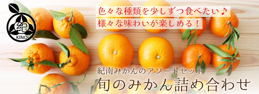 幻のみかん 紀州大坊みかん 秀品　Lサイズ　10kg みかんキング 大坊みかんの通販・お取り寄せ,紀州和歌山県の深見梅店がおいしい