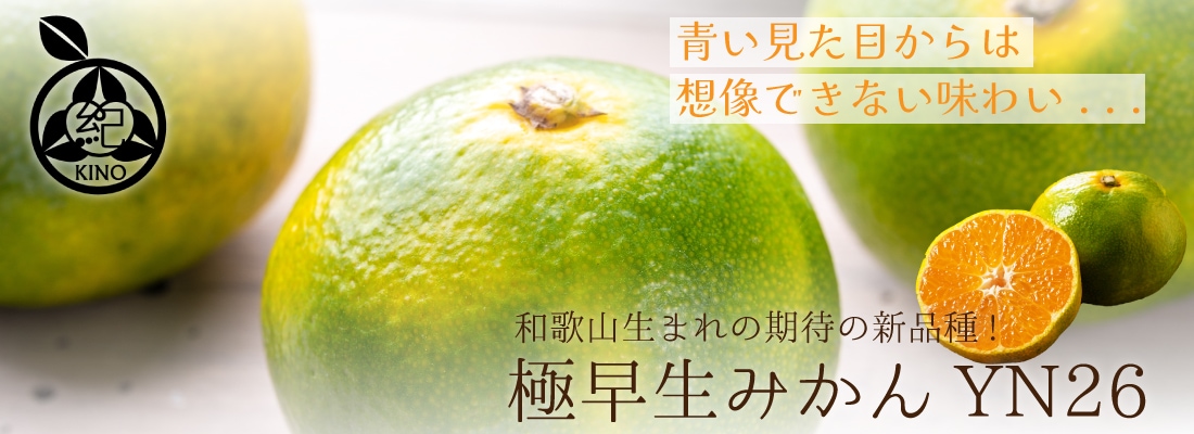 和歌山　完熟　南高梅　5kg クール便 kino-kishu_kan-yu-2l-5kg