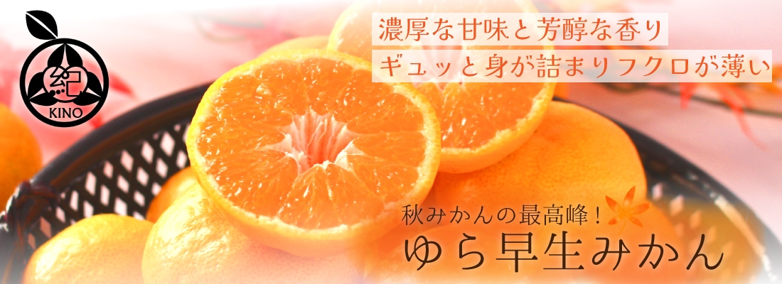 梅,南高梅 完熟梅 | 紀州の旬マルシェ 紀の