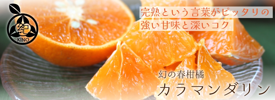 清見 オレンジ【 秀品 L/2L サイズ 5kg 】 | みかん,清見オレンジ